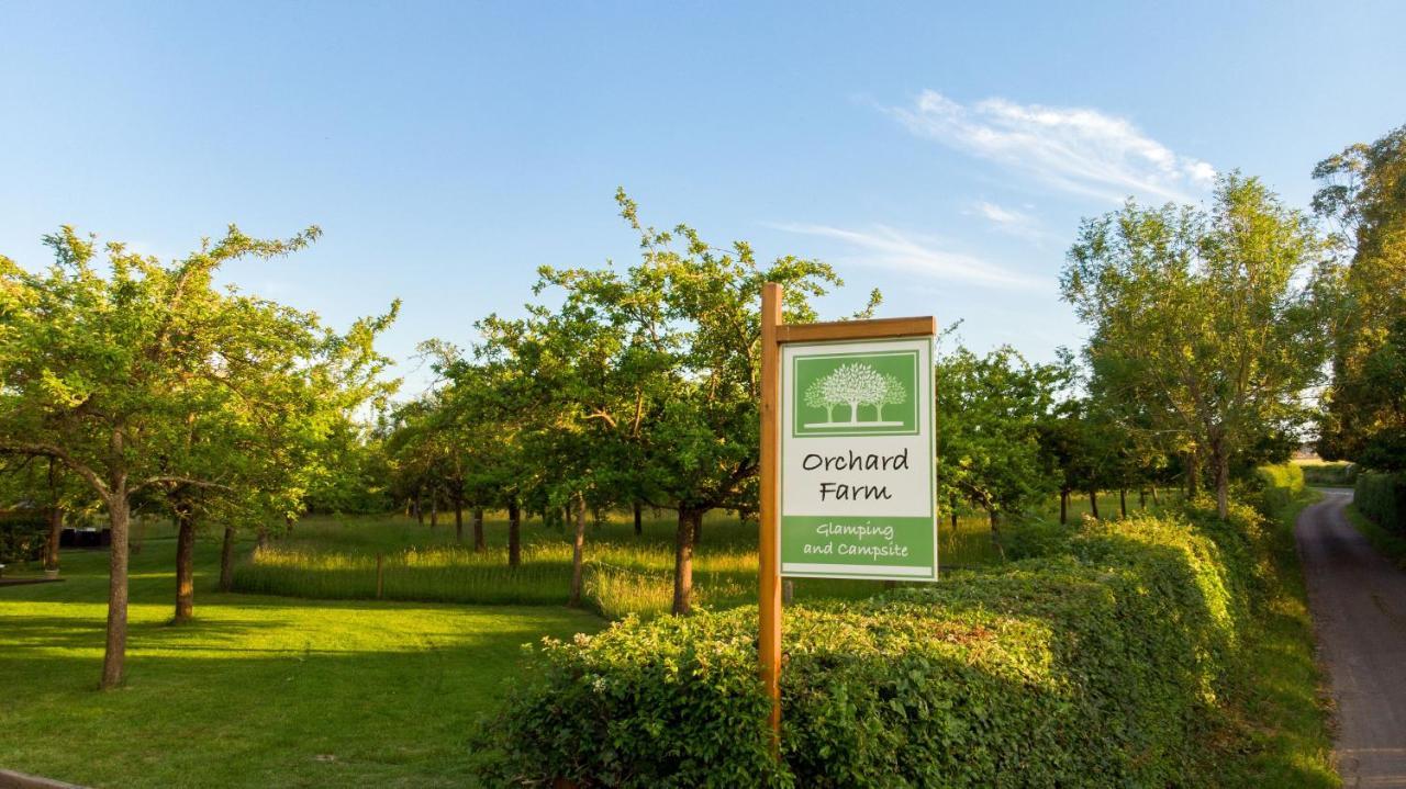 Orchard Farm Luxury Glamping And Campsite Гластонбери Экстерьер фото