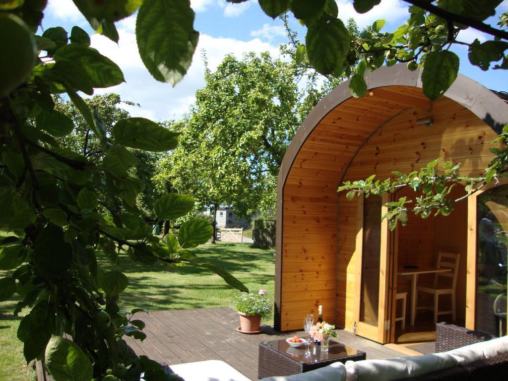 Orchard Farm Luxury Glamping And Campsite Гластонбери Экстерьер фото